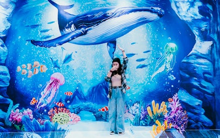 Interactive underwater mural at Singapore Trick Eye Museum with a person posing.