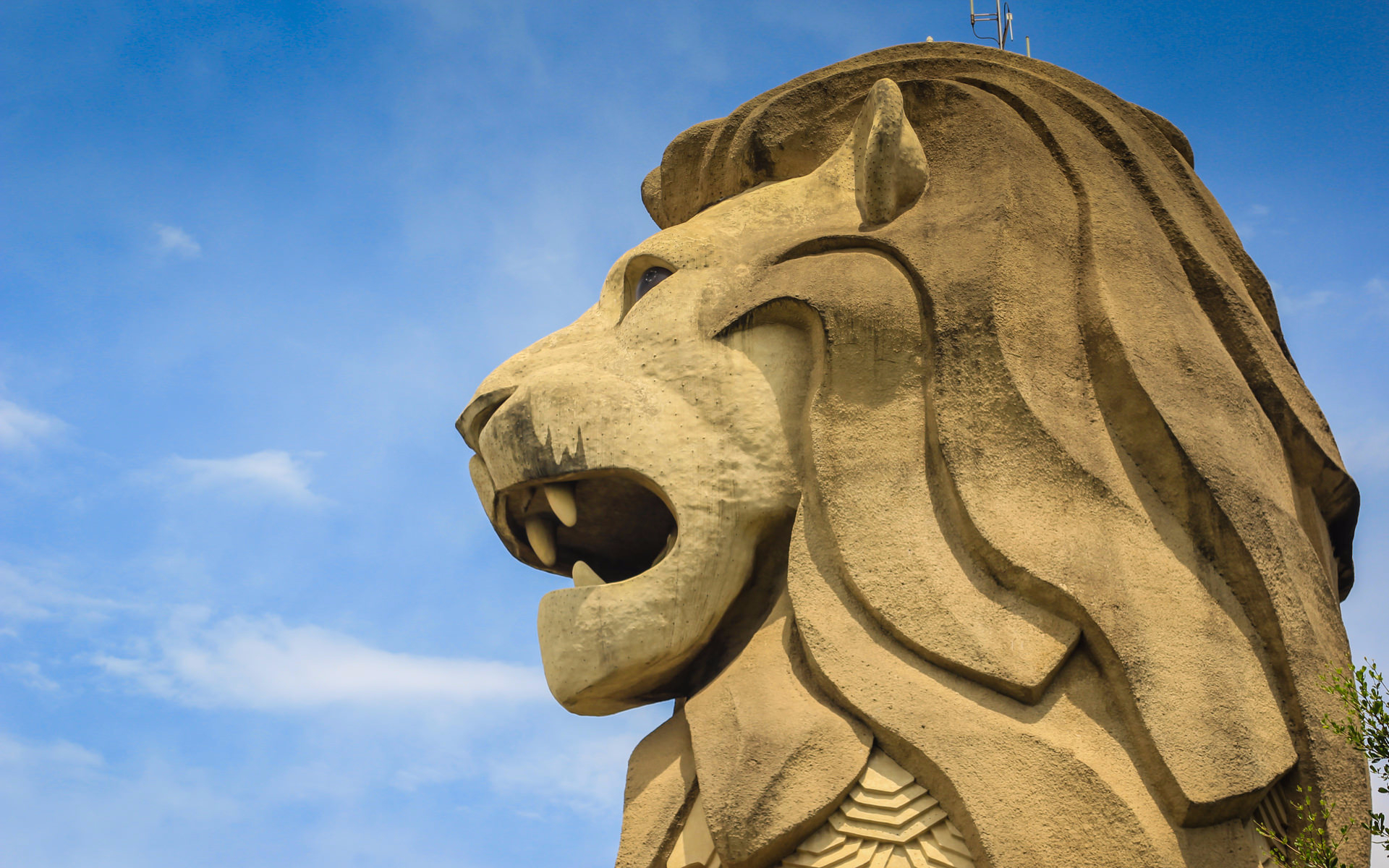 singapore on a budget