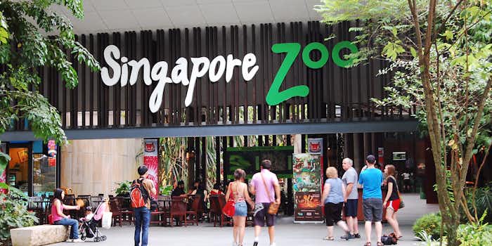 singapore zoo tram ride