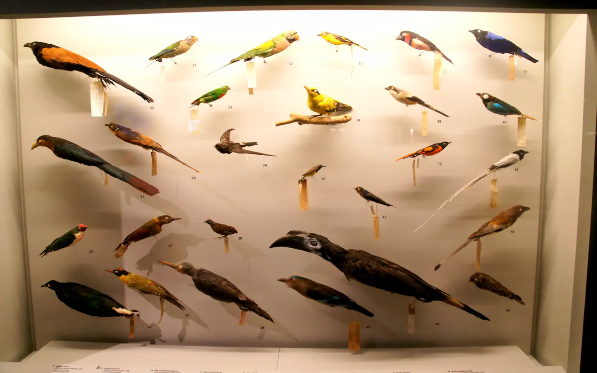 singapore on a budget