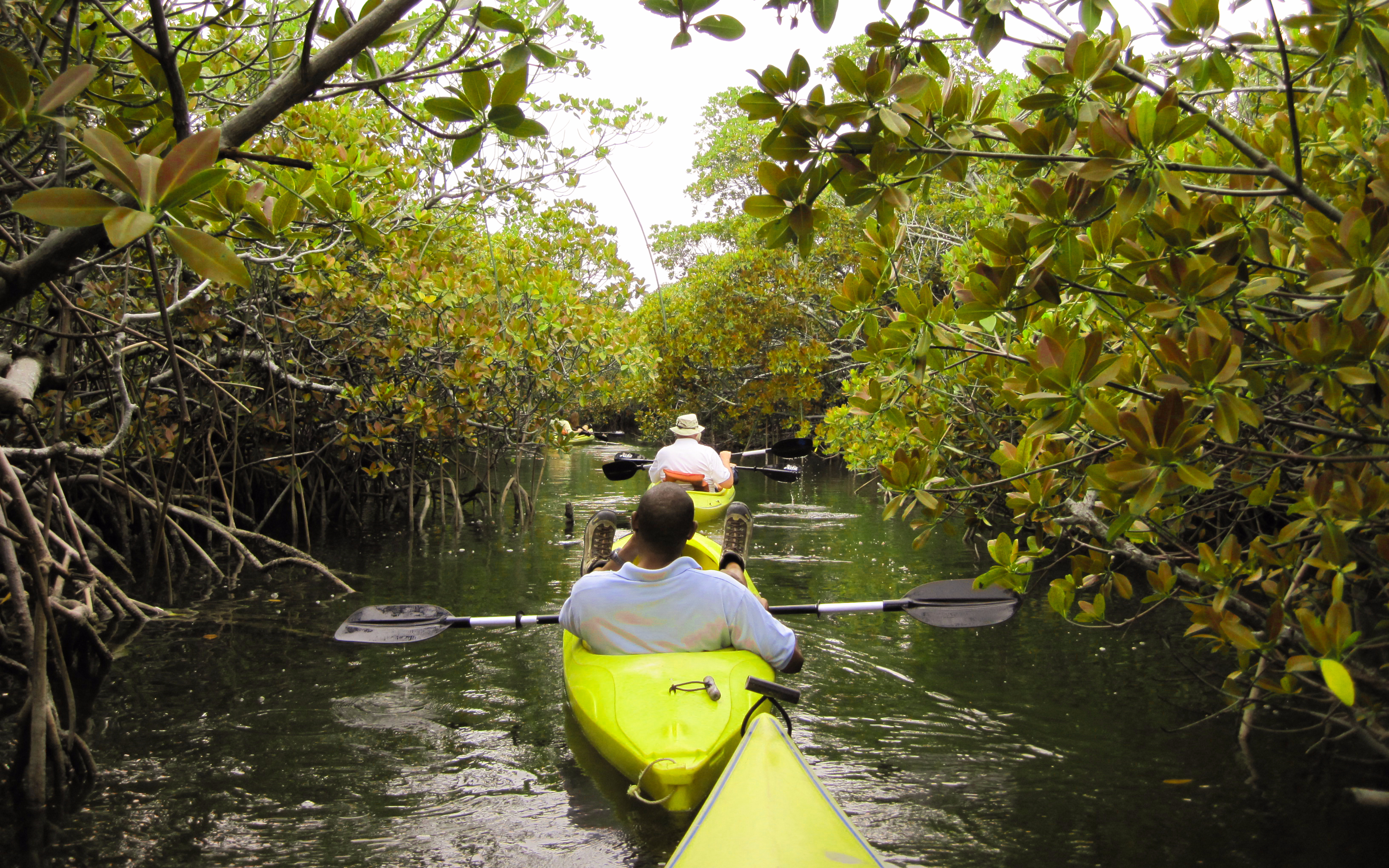 Kayaking at Pulan Ubin - 5 day Singpaore itinerary