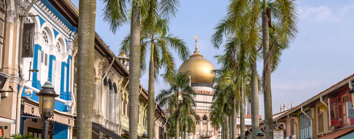 Singapore Walking Tours