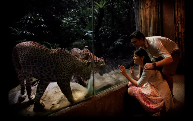 singapore zoo night safari tickets