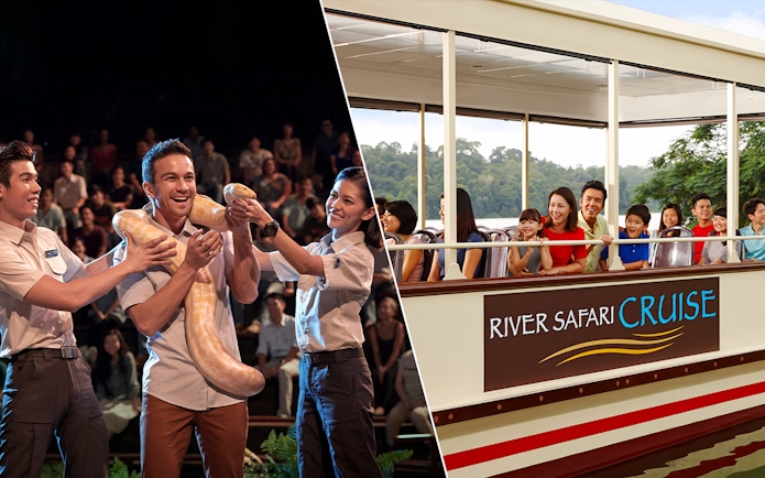 Night Safari show with a snake and River Safari cruise with smiling tourists.