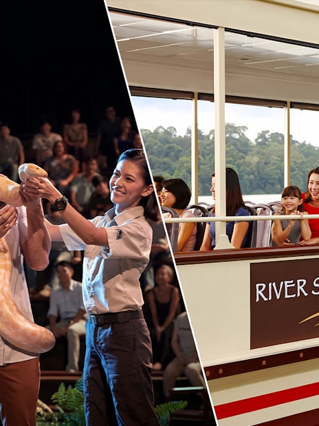 Night Safari show with a snake and River Safari cruise with smiling tourists.