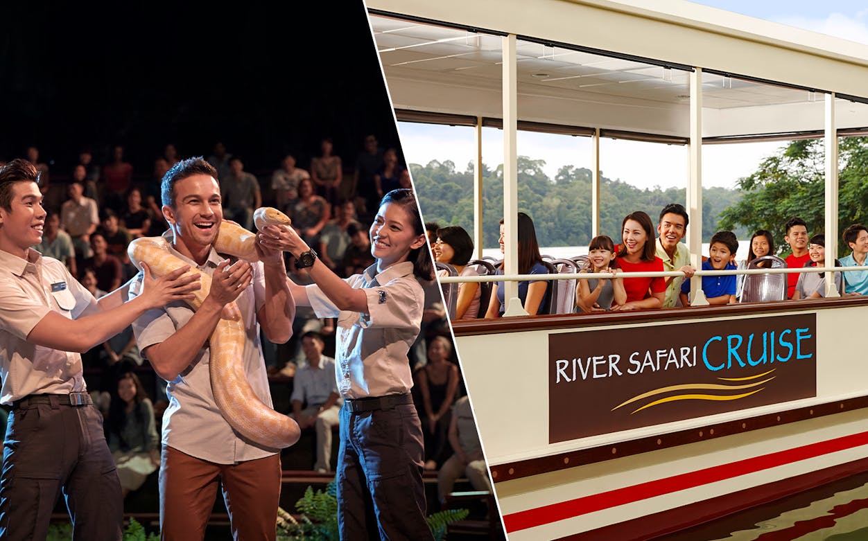 Night Safari show with a snake and River Safari cruise with smiling tourists.