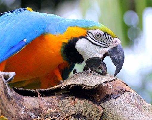 Singapore River Wonders Tickets