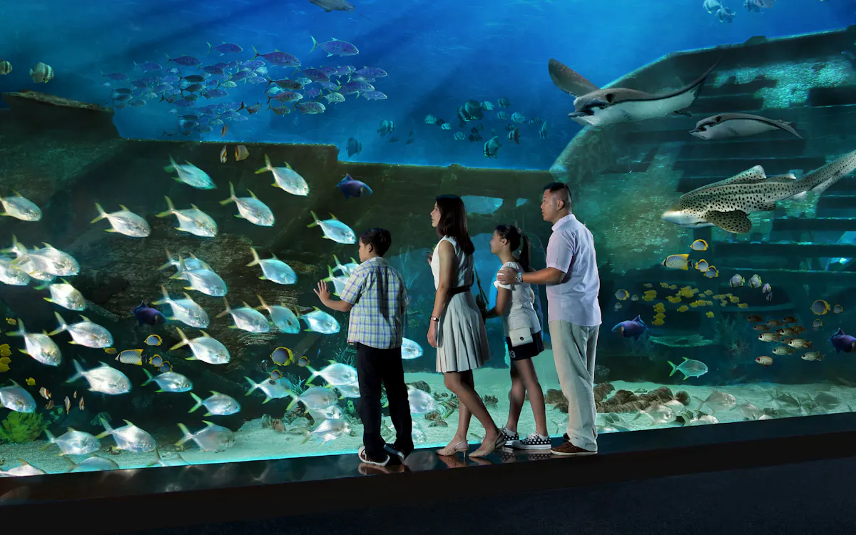 singapore on a budget