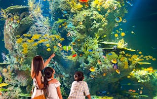 River Safari - 5 day Singapore itinerary