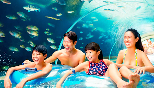 Adventure Cove Waterpark