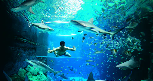 singapore on a budget