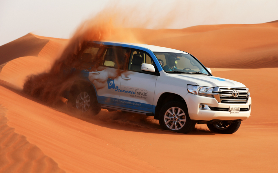 Morning Safari in Dubai