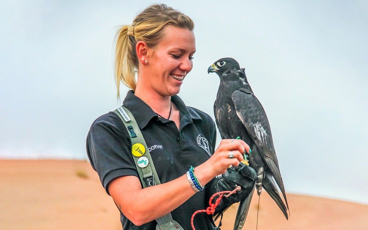 Person holding a falcon during a morning desert safari experience.