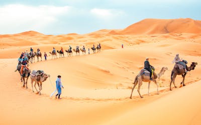 Morning Desert Safari with Camel Farm & Sandboarding