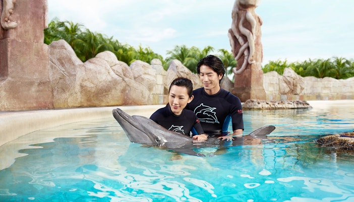Dolphin Island Singapore - Dolphin Discovery