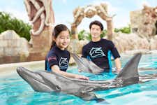 Best Things to do in Singapore - Dolphin Discovery - Sentosa - 3