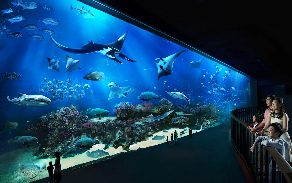 SEA Aquarium