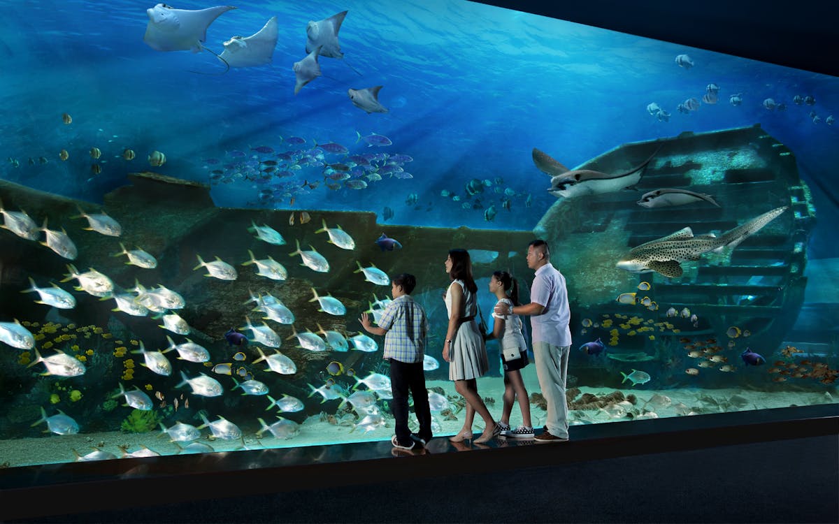 S.E.A Aquarium Singapore Tourist Guide | Insider Tips & Offers