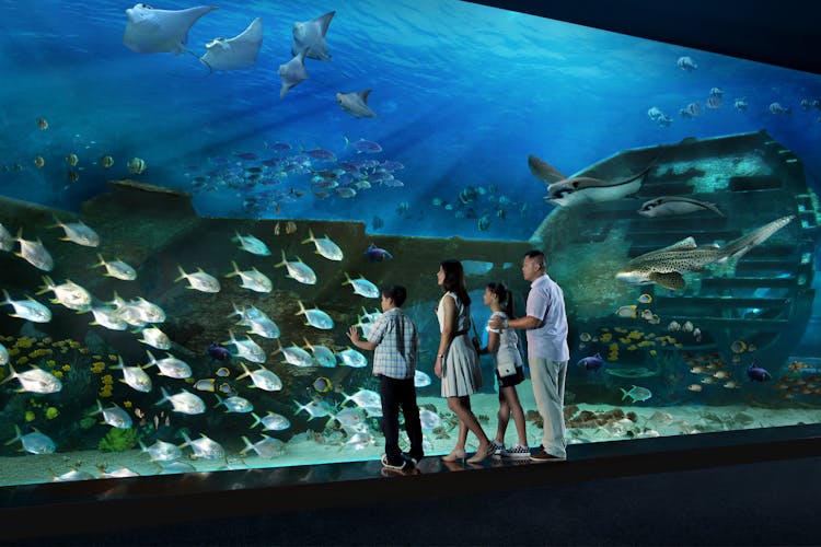 SEA Aquarium Singapore