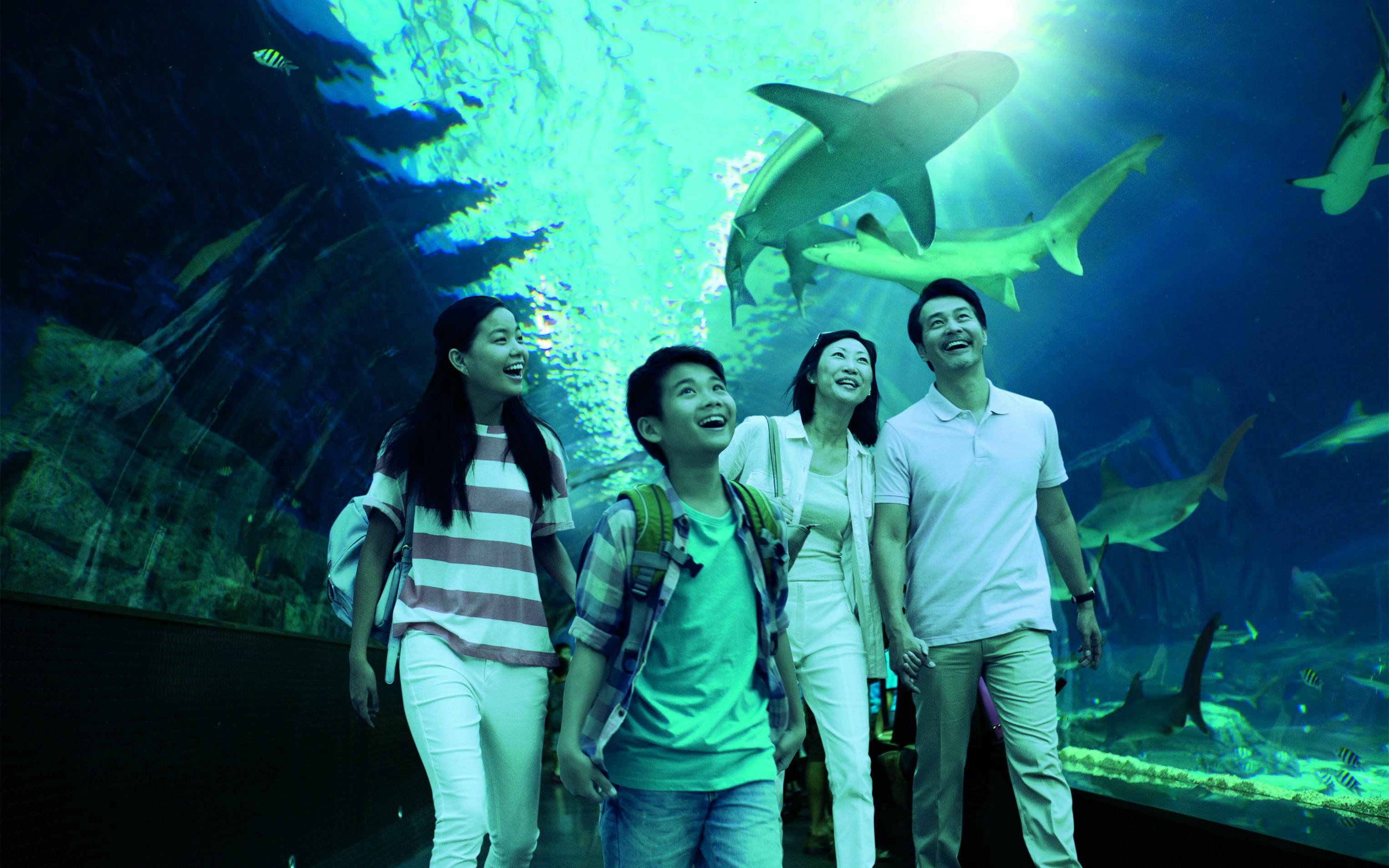 S.E.A Aquarium Singapore
