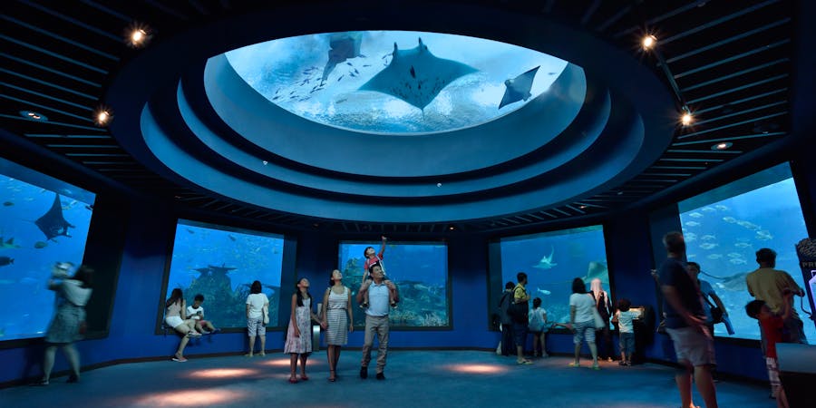 Singapore in October - jurong bird park