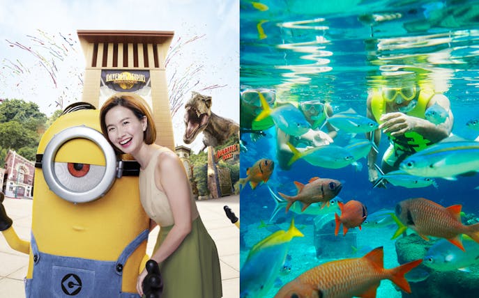 Universal Studios Singapore entrance with Minion character; snorkeling at Adventure Cove Waterpark™ with colorful fish.