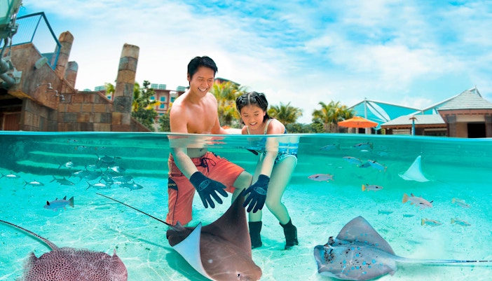 Adventure Cove Waterpark, Singapore