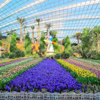 gardens by the bay singapore