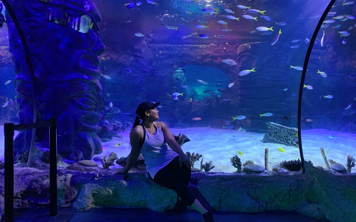 entradas a marine life park: acuario s.e.a + parque acuático adventure cove-2 entradas a marine life park: acuario s.e.a + parque acuático adventure cove-2
