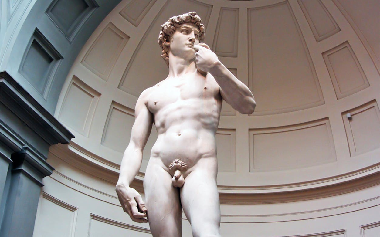 Statue of David in Accademia Gallery, Florence, part of morning city tour.