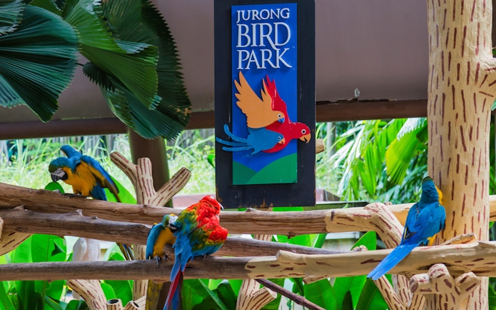 Colorful parrots at Jurong Bird Park, Singapore, perched on branches near park sign.