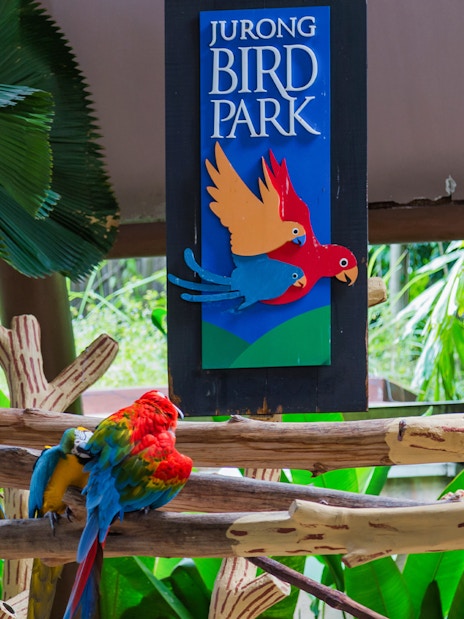 Colorful parrots at Jurong Bird Park, Singapore, perched on branches near park sign.