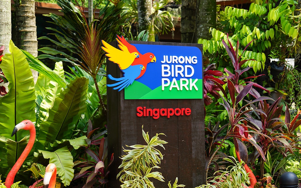 Jurong Bird Park sign surrounded by tropical plants, Singapore.
