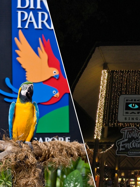 Jurong Bird Park macaws and Night Safari entrance in Singapore.