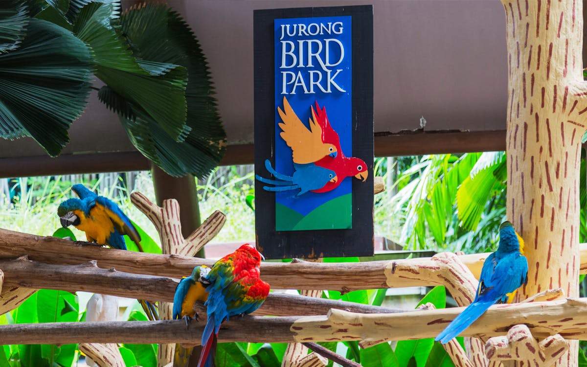 super saver combo: river safari + jurong bird park-4 super saver combo: river safari + jurong bird park-4