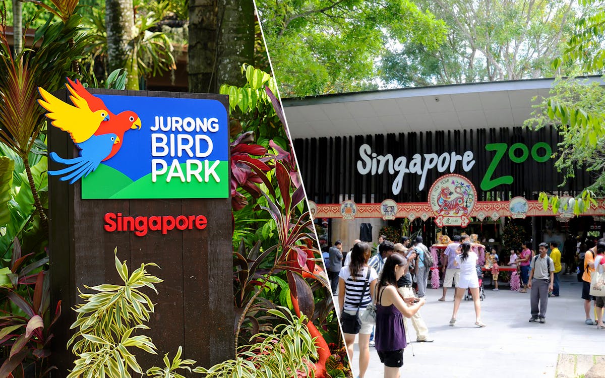 super saver combo: jurong bird park + singapore zoo-1 super saver combo: jurong bird park + singapore zoo-1