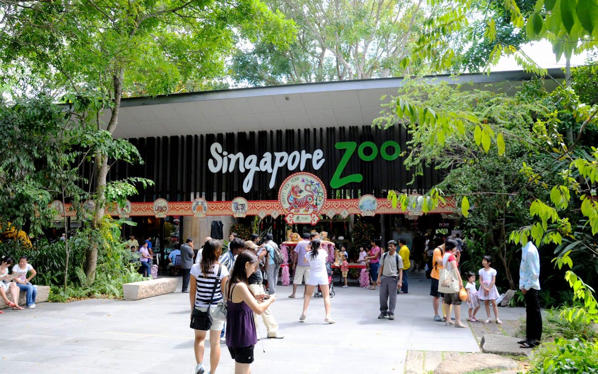 super saver combo: jurong bird park + singapore zoo-5 super saver combo: jurong bird park + singapore zoo-5