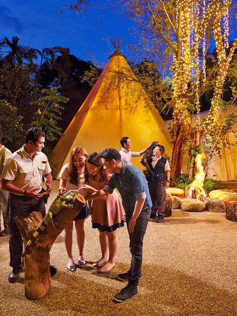 Visitors interacting with animals at Singapore Zoo's Night Safari, with illuminated tents in the background.