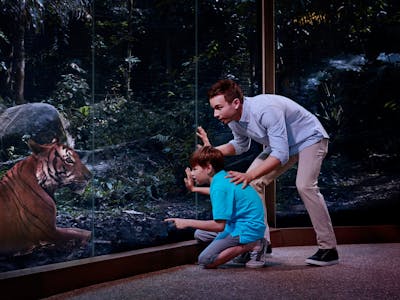 A live show at Night Safari, Singapore