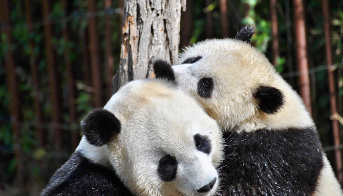 River Wonders Singapore Tickets