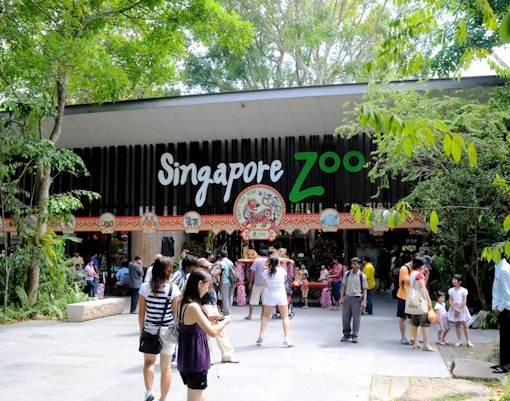 Visitors at the entrance of Singapore Zoo surrounded by lush greenery.