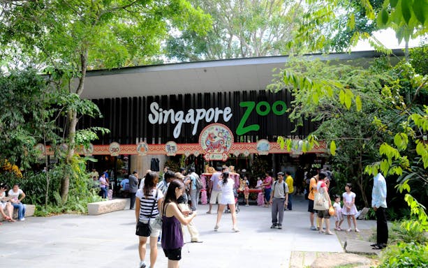 Visitors at the entrance of Singapore Zoo surrounded by lush greenery.