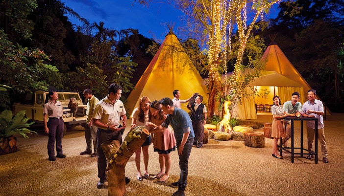 Night Safari