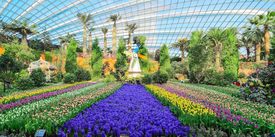 Singapore in November - Gardens by the Bay