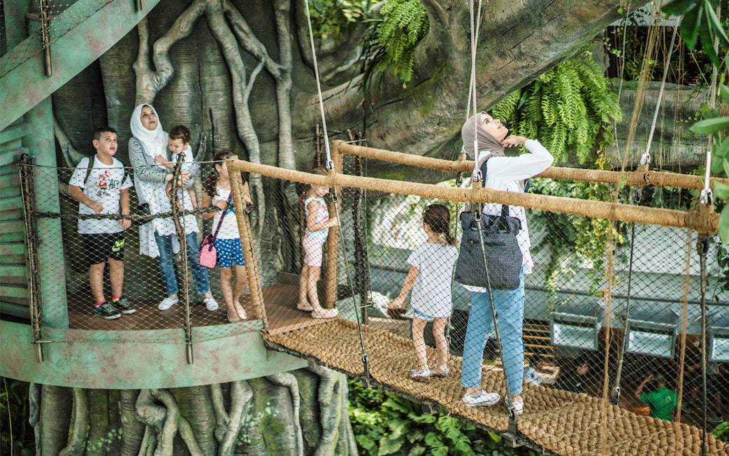 Visitors exploring the treetop walkway at Green Planet, Dubai.