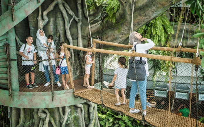 Visitors exploring the treetop walkway at Green Planet, Dubai.