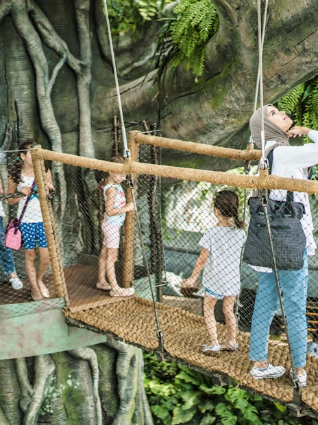 Visitors exploring the treetop walkway at Green Planet, Dubai.