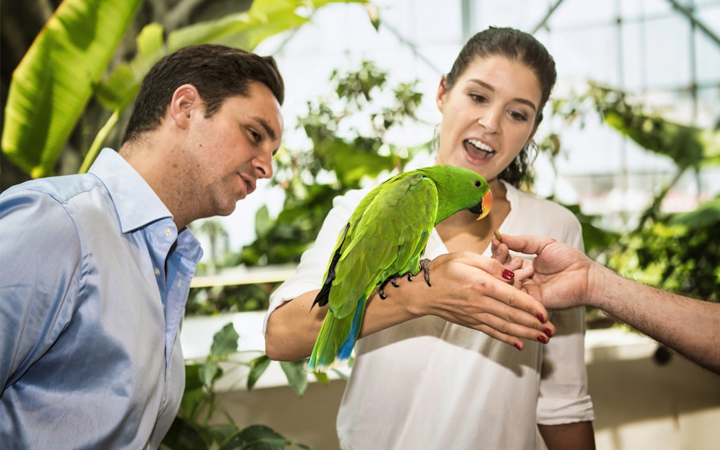 Visitors feeding a parrot in Green Planet Dubai's tropical rainforest environment.