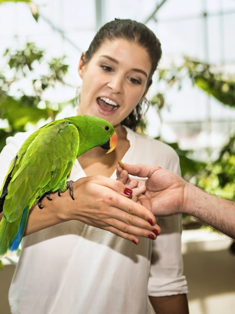 Visitors feeding a parrot in Green Planet Dubai's tropical rainforest environment.