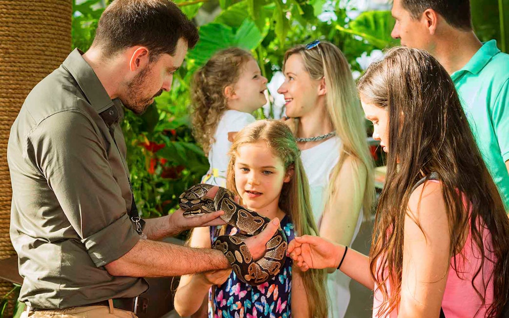 Visitors interacting with a snake at Green Planet Dubai.